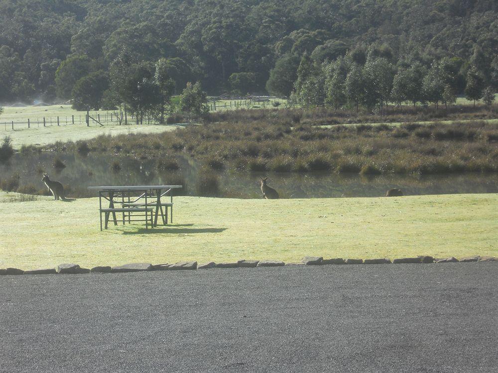Halls Gap Motel Экстерьер фото