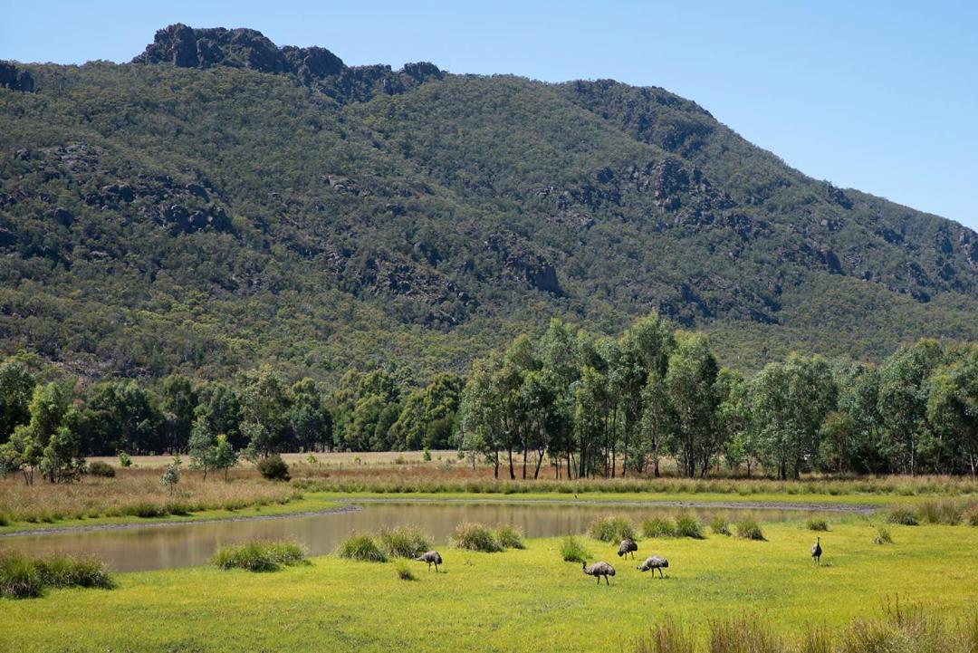 Halls Gap Motel Экстерьер фото