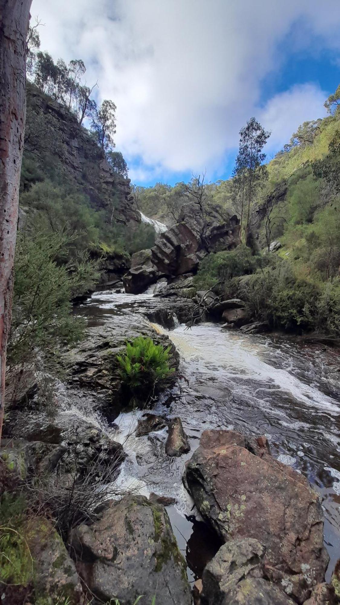 Halls Gap Motel Экстерьер фото