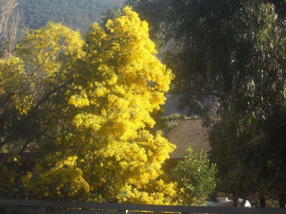 Halls Gap Motel Экстерьер фото