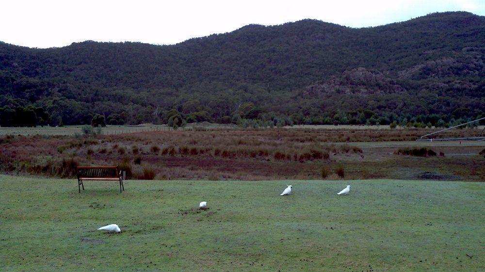 Halls Gap Motel Экстерьер фото