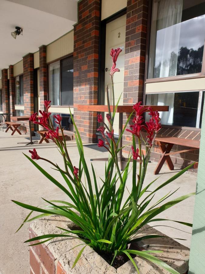 Halls Gap Motel Экстерьер фото
